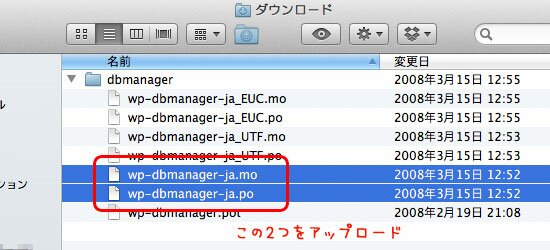 WP DBManager05