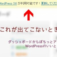 WordPress本体やプラグインの最新版の更新通知がこないとき